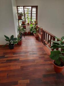 Galería fotográfica de Shruthi's Aarohi-Nature's Retreat Homestay en Kannur