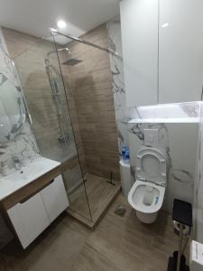 e bagno con doccia, servizi igienici e lavandino. di ZONA apartman a Vranje