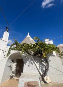 un edificio blanco con un árbol delante en Porto Antico, en Bari