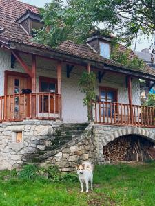 a dog standing in front of a stone house at Tisnyi 7 Guest House in Kamianets-Podilskyi