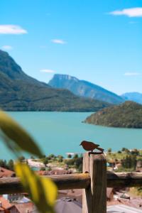 een zwarte vogel op een houten paal bij Villa la Dama del Lago in Molveno