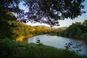 un fiume con alberi sul lato di Golden Fields Resort A Unit Of Beaver Golden Fields a Mulshi