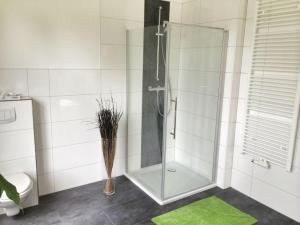 Un baño de Ferienwohnung LOFT- direkt am Falderndelft - nähe Innenstadt