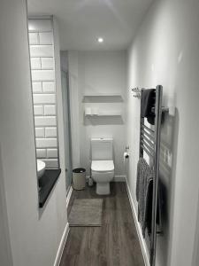 a white bathroom with a toilet and a sink at Lento Apartment in Winchester