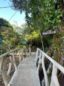 Nuotrauka iš apgyvendinimo įstaigos Los Amigos Jungle Hotel Tortuguero mieste Tortugeras galerijos