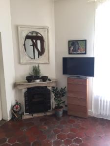 ein Wohnzimmer mit einem TV und einem Kamin in der Unterkunft L'académie de Clémence, Guest House Paris-Roland-Garros in Boulogne-Billancourt