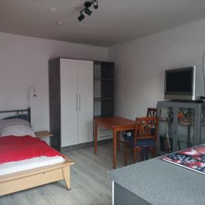 um quarto com uma cama, uma secretária e uma mesa em Naturfreunde Speyer 2P, altrheinnahe, hundefreundlich em Römerberg