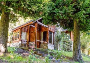 a log cabin in the woods between two trees at Ruma Andina by DOT Cabana in Villa La Angostura