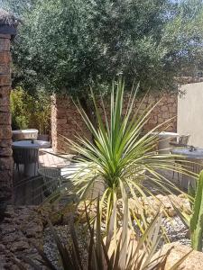 um jardim com mesas e cadeiras e uma palmeira em Hôtel Les Suites Du Maquis em Bonifacio