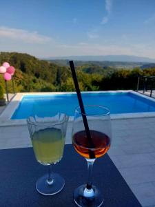 twee glazen wijn zittend op een tafel bij een zwembad bij Kuća za odmor Freya in Krapinske Toplice