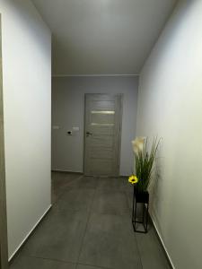 korytarz z drzwiami i wazonem kwiatów w obiekcie Apartament Kosakowo obok Gdyni w mieście Kosakowo