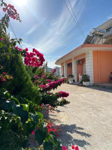 A garden outside Villa Nicolaos Ksamil