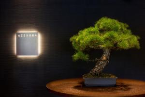 einen Bonsai-Baum in einem Topf vor einer Wand in der Unterkunft JW Marriott Hotel Nara in Nara