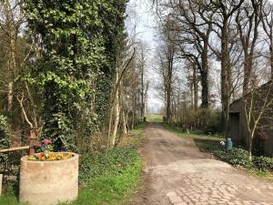 Vrt u objektu Schlafkoje Kleine Wolke