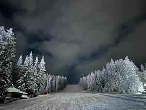 une pente enneigée avec des arbres et un ciel nuageux dans l'établissement VILA JEZERO, à Kopaonik