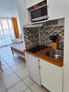 A kitchen or kitchenette at Studio West-indies résidence Savane et Archipel