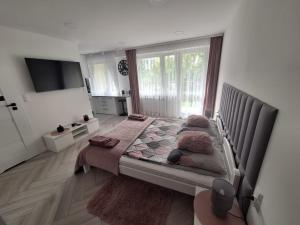 Vuode tai vuoteita majoituspaikassa Apartament Premium Tarnów