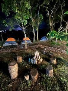 Garður fyrir utan TauSco Homestay & Campsite - Coorg