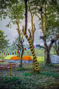 Mynd úr myndasafni af TauSco Homestay & Campsite - Coorg í Madikeri