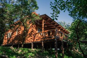 a log cabin in the woods with trees at Cabaña Win en el Bosque, RUNA YAKU in San Lorenzo