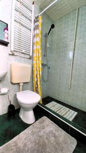 a bathroom with a shower with a toilet and a sink at Harmony Vendégház Egerszalók in Egerszalók