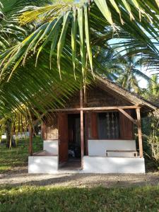 uma pequena casa com uma palmeira em frente em MAHAMBO BEACH hôtel em Mahambo