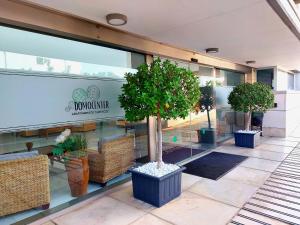 a store front with several potted trees in front of it at Domocenter Apartamentos Turísticos in Bormujos