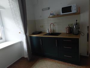 una pequeña cocina con fregadero y microondas en Dvůr U kapličky, en Žďár nad Sázavou