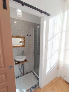 bagno con lavandino e doccia di Chambres cosy au coeur du village a Chaumont-en-Vexin