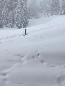 una persona parada en una tabla de snowboard en la nieve en Sunrise Apartment Pamporovo, en Pamporovo