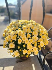 a bouquet of yellow flowers sitting on a chair at Стильні та просторі апартаменти «D.І.М.» in Kamianets-Podilskyi