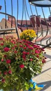 a bunch of flowers in a pot on a table at Стильні та просторі апартаменти «D.І.М.» in Kamianets-Podilskyi