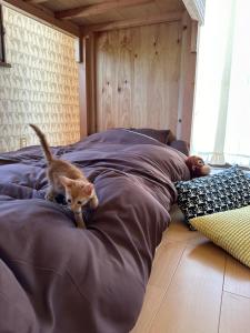 Una cama o camas en una habitación de 猫と泊まれる宿にゃんstay