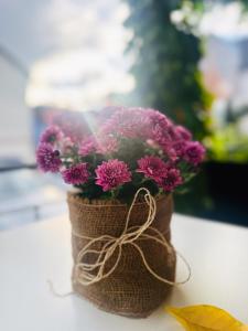 un vaso pieno di fiori viola seduto su un tavolo di Eisberg Hotel Schwanen a Lahr