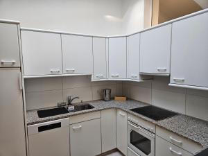 Apartment Sweet Home Sion في سيون: مطبخ أبيض مع دواليب بيضاء ومغسلة