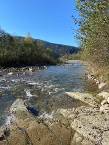 un río con rocas y árboles en el lateral en VIP котедж Рокита, en Mykulychyn