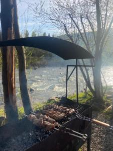 una parrilla con un montón de comida junto a un río en VIP котедж Рокита, en Mykulychyn