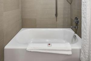 Phòng tắm tại Comfort Inn & Suites Logan Near University