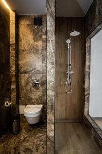 La salle de bains est pourvue de toilettes et d'une douche en verre. dans l'établissement Premium Club SPA, à Bukovel