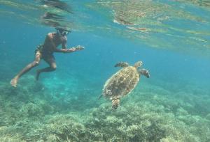 Waru Homestay Gili Gede vendégei