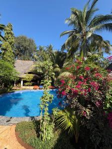 Swimmingpoolen hos eller tæt på African Bungalows