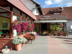 Kosewo şehrindeki Country Holiday Hotel tesisine ait fotoğraf galerisinden bir görsel