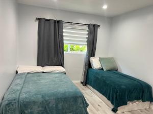 Tempat tidur dalam kamar di Lovely 2bedroom next to Santa Monica college