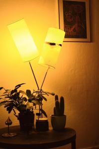 une lampe assise sur une table à côté d'une plante dans l'établissement Hotel Vista Tork A Family Hotel Near IGI Airport Delhi, à New Delhi