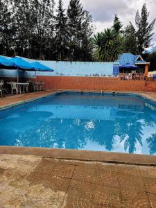 The swimming pool at or close to Apex Resort