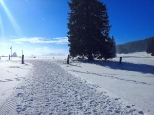 un champ enneigé avec un arbre et une clôture dans l'établissement Mont Blanc Chalet, à Grandevent