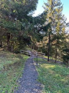 un camino en un parque con árboles y una valla en Над фермою, en Nizhne-Studënyy