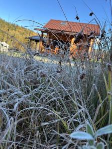 un campo de hierba alta con una casa en el fondo en Над фермою, en Nizhne-Studënyy