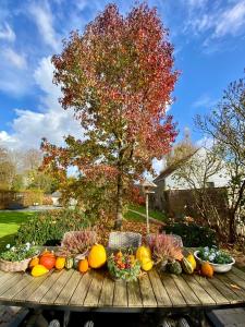 a bunch of pumpkins sitting on a wooden table at B&B Aline Florentine in Kortenberg