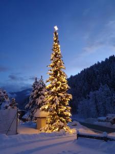 een kerstboom versierd met licht in de sneeuw bij Hotel Christoph in Valdaora